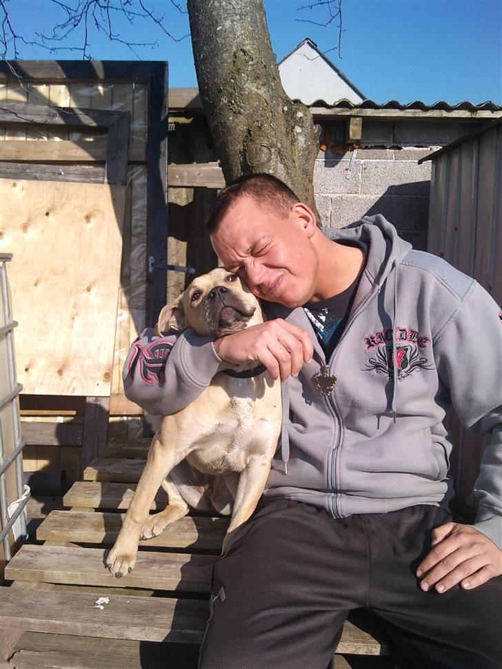 Amerikansk staffordshire terrier Teesha (R.I.P) billede 10