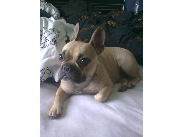 {{currentPhoto.altText}} billede {{currentPhoto.number}}