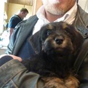 Blanding af racer WILMA