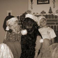 Briard Sussie  R.I.P