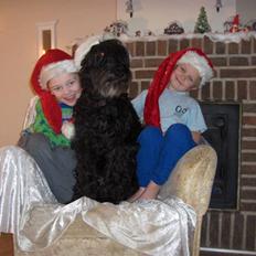 Briard Sussie  R.I.P