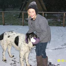 Blanding af racer Easy (Bassen!)