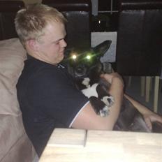 Blanding af racer Tinka