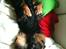 Cavalier king charles spaniel Johnny - Hvaa' ligger du godt, Johnny? :-D <3