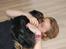Cavalier king charles spaniel Lulu