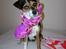 Chihuahua /Jack russell Frida R.I.P - I Syd Frankrig, en bamse som hun fik fra tivoli (: