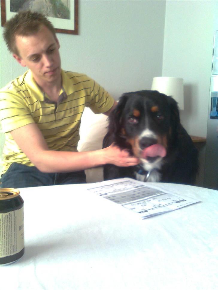 Berner sennenhund Samson - Anders og Samson der hygger :P billede 17