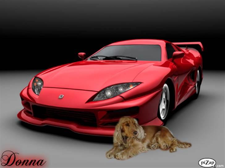 Cocker spaniel donna - Min lille Model<3 billede 6