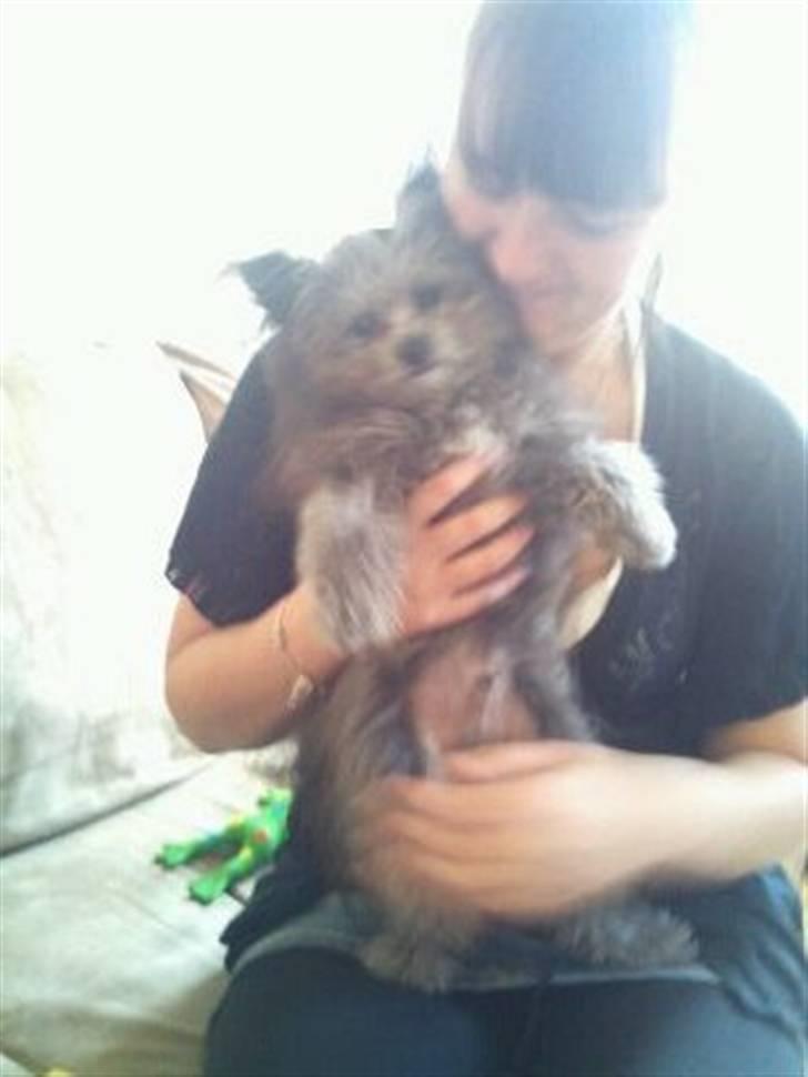 Blanding af racer **Lill' Cody<3** - Mormor og lille Cody !  billede 6