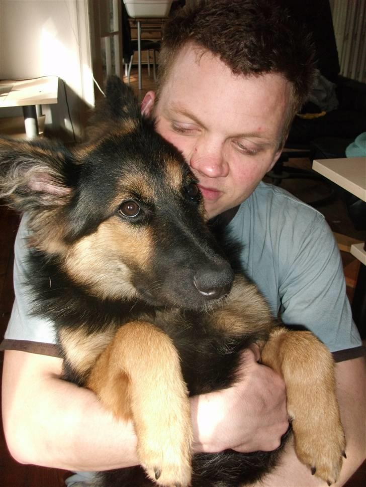 Blanding af racer paya billede 6