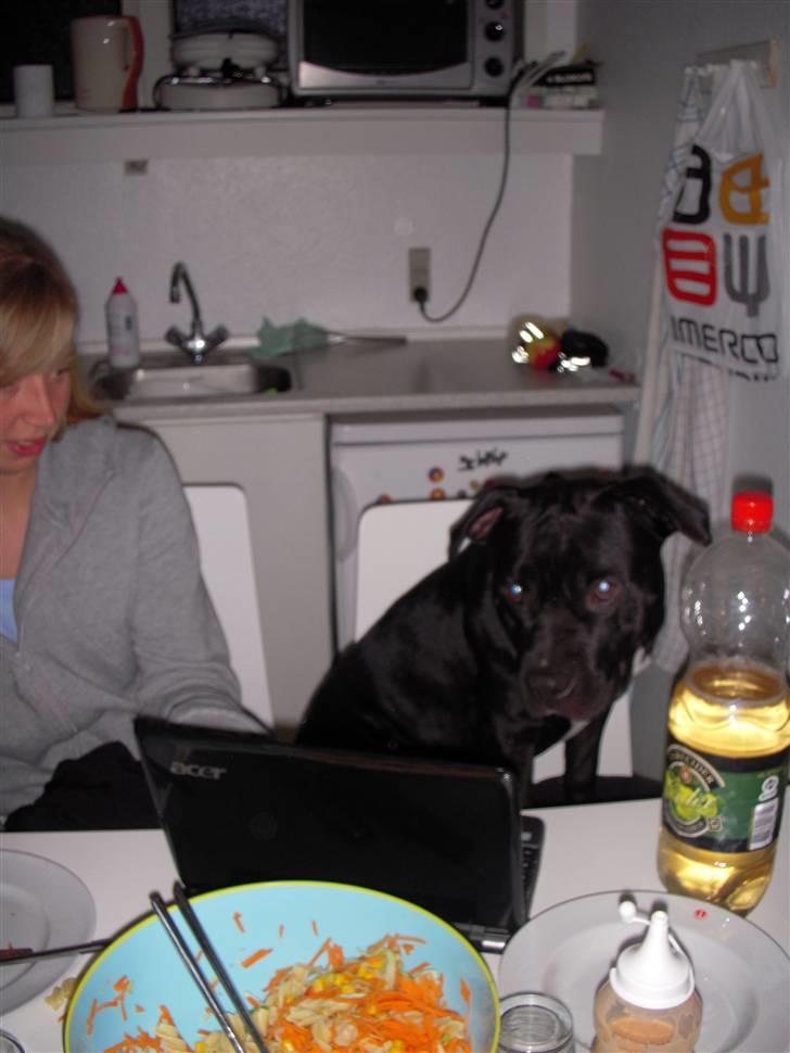 Blanding af racer kessler R.I.P. billede 14