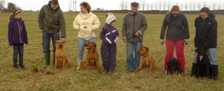 Blanding af racer Broweiler Odin - Familie billede( Min mor i midten,tre af mine brødre og mig selv yderst til højre) billede 17