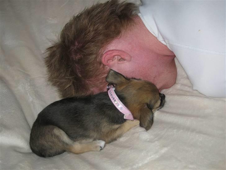 Blanding af racer My - My og Stephan putter i sækkestolen <3 billede 5