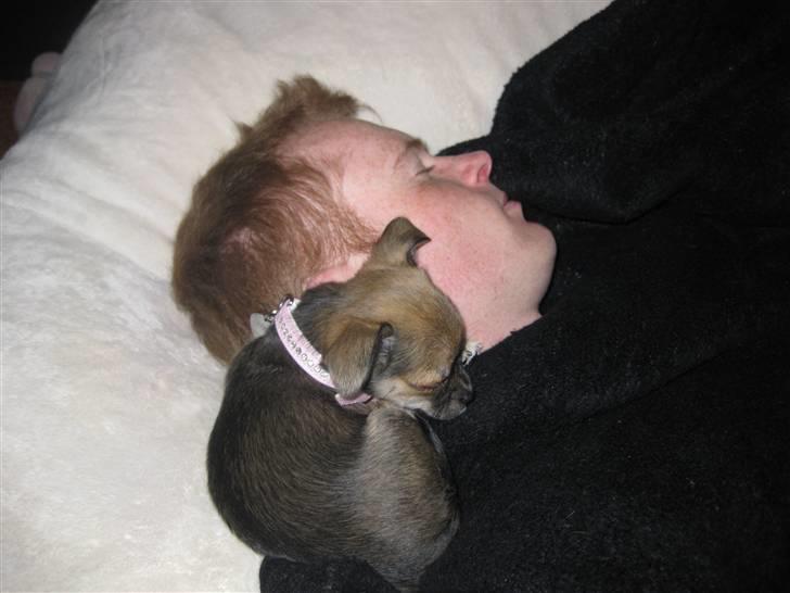 Blanding af racer My - My og Stephan putter i sækkestolen <3 billede 7