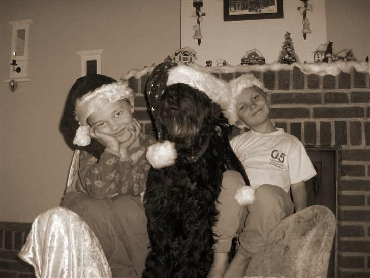 Briard Sussie  R.I.P - Et af de få billeder vi har af hende.. men et godt et.. billede 1