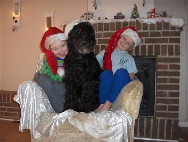 Briard Sussie  R.I.P billede 2