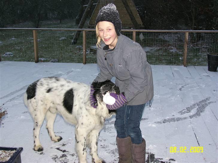 Blanding af racer Easy (Bassen!) - Waaar skarpe tænder!! billede 3