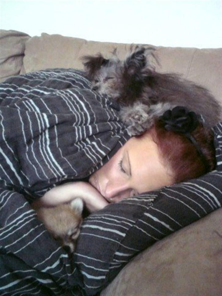 Blanding af racer ** Lill' Neela <3 ** - Min første middags lur med min mor og bror :) Vi var alle trætte da vi kom hjem :) billede 2