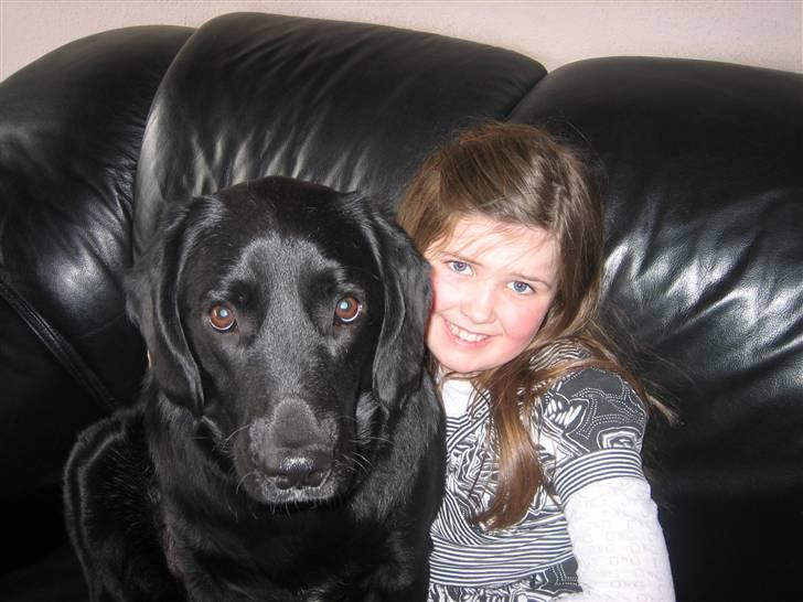 Blanding af racer Laban<333 - Bedste venner 4-Ever billede 8