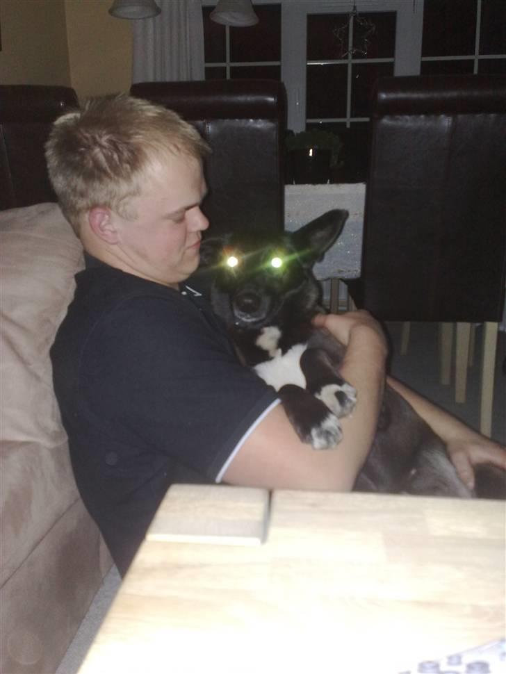 Blanding af racer Tinka billede 3