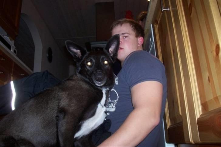 Blanding af racer Tinka billede 11