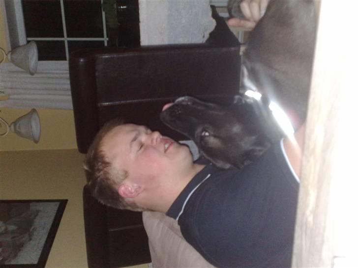 Blanding af racer Tinka billede 12