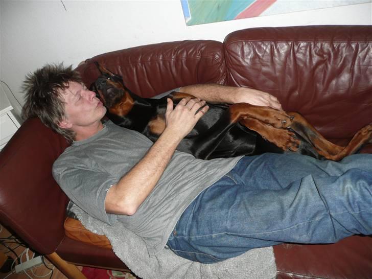 Dobermann Bomb. Cody di Altobello R I P 19.7.2014 billede 7