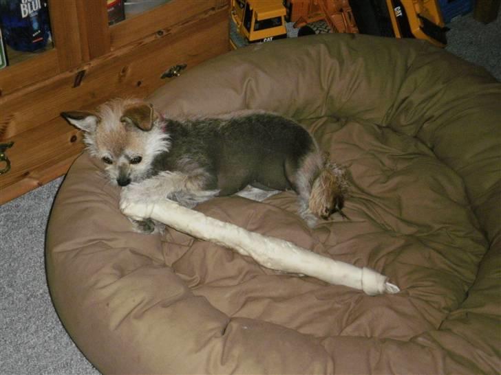 Blanding af racer Silje - Ja selv om man er lille kan man sagtens overtage de stores ting :0) billede 18