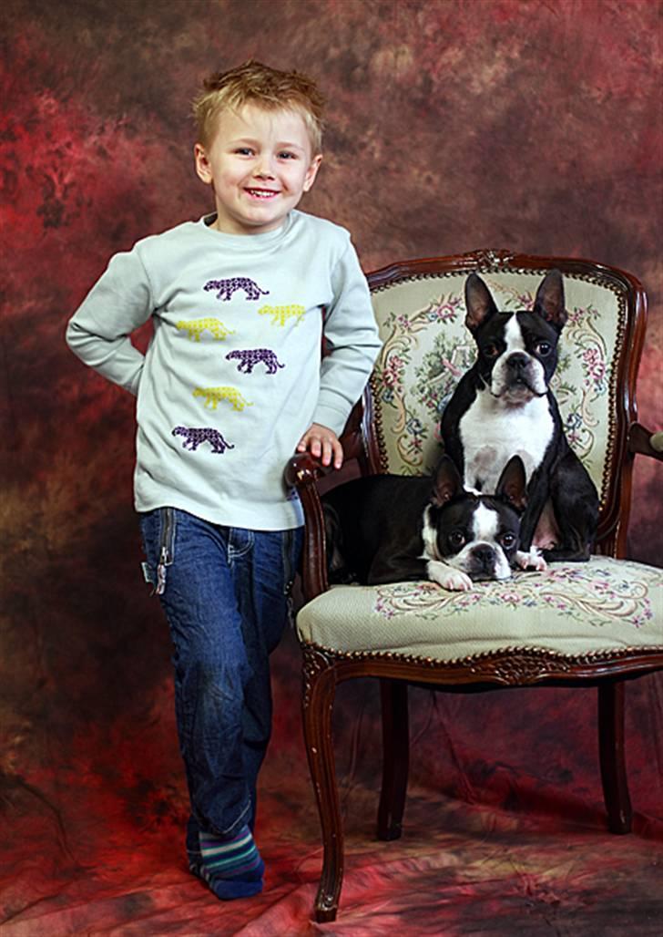 Boston terrier Please, Don`t Tease - Anton - Tease & DeeDee ( taget 14/5.2010) billede 17