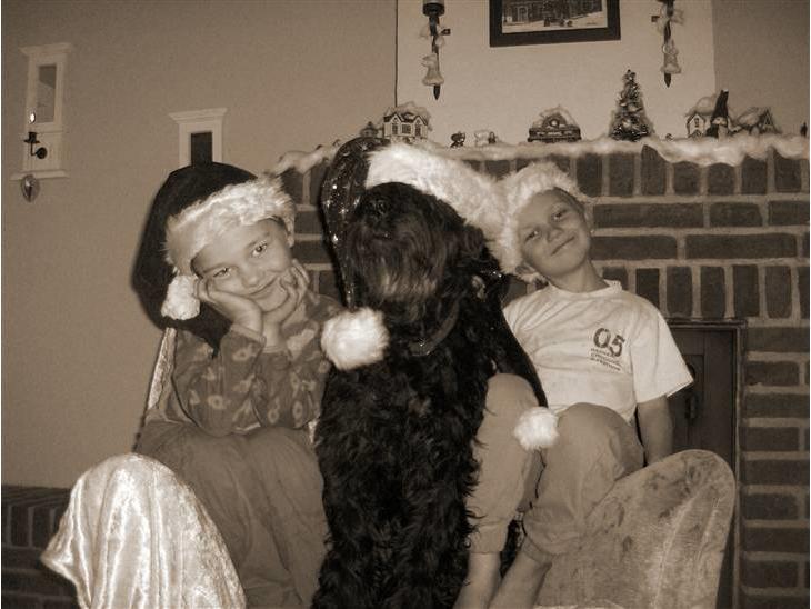 {{currentPhoto.altText}} billede {{currentPhoto.number}}