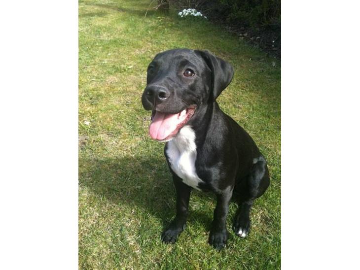 {{currentPhoto.altText}} billede {{currentPhoto.number}}