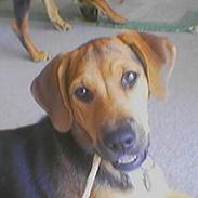 Blanding af racer Pluto