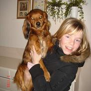 Blanding af racer Baloo