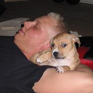 Blanding af racer Bosco