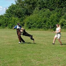 Dobermann Bianka Devil Garden*R.I.P