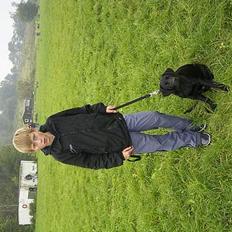 Labrador retriever Keano