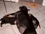 Rottweiler Clair (R.I.P 2010) - Clair snupper en lur med et par hvalpe ZZZZZZ