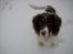 Engelsk springer spaniel tessan - Sidst men ikke mindst..