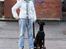 Dobermann Asja (Død) R.I.P - hva siger du mor??