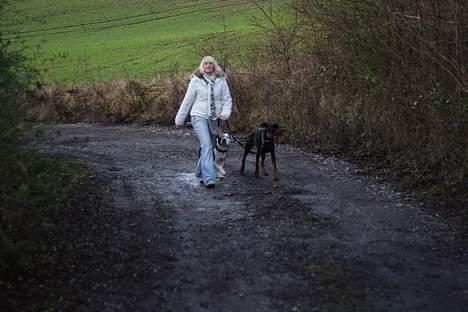 Dobermann Asja (Død) R.I.P - Jeg går da pænt...ik... billede 7