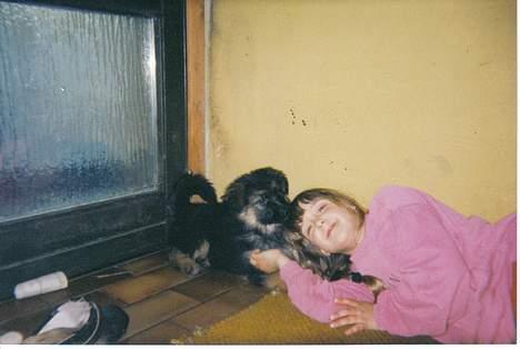 Schæferhund Sally # R.I.P # - sally og mig billede 14