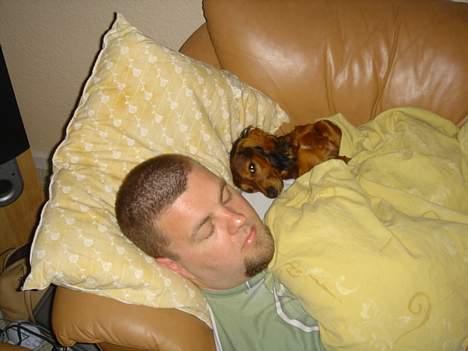 Gravhund Donna - Donna og hendes far billede 3