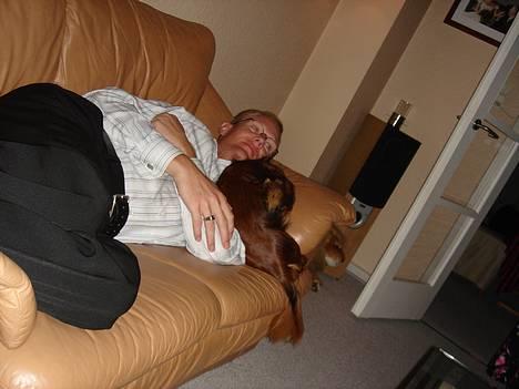 Gravhund Donna - Dolf Egon er Træt Jeg hygge om ham billede 5