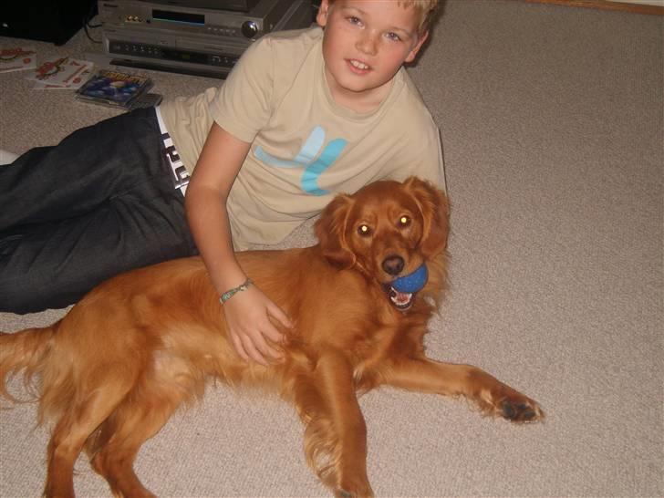 Blanding af racer Victor billede 10