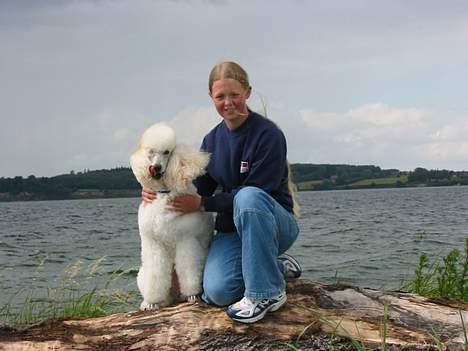 Storpuddel Nakita P.I.P. 28-7-2011 - Vores sommer ferie hvor vi var en tur på stranden. billede 2
