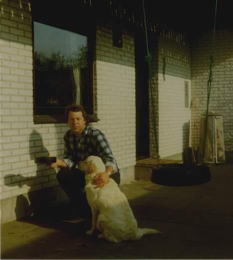 Golden retriever Susi - Du må først spise når jeg siger  "" versgod "" billede 4