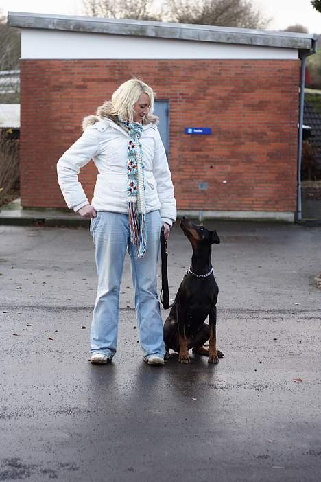 Dobermann Asja (Død) R.I.P - hva siger du mor?? billede 11