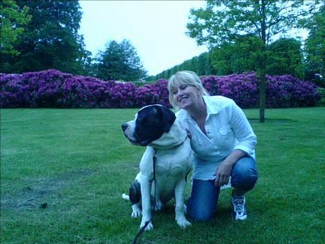 Blanding af racer Carlos *død* - Min mor og Carlos i kng´s have billede 10