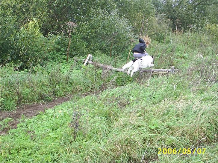 Blanding af racer basse:-* - her er jeg ude i en skov og springer med min søs;D  Det er mega sjovt.... billede 8