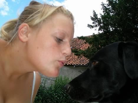 Labrador retriever Zulu (mors hund) - Puuuust...  billede 8